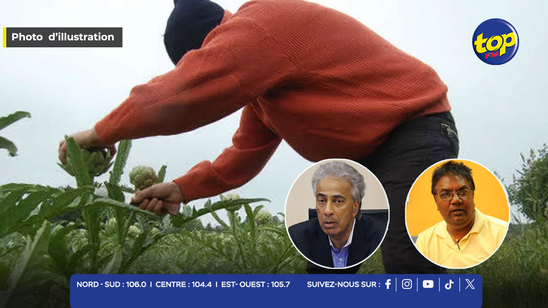Vols de légumes Vols de légumes