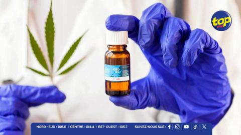 Cannabis-médica