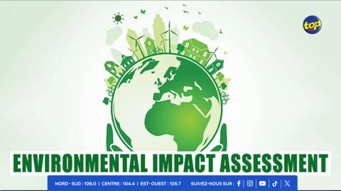 Environmental Impact Assessment (EIA)
