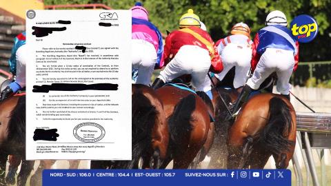 HIPPISME