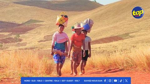 Madagascar - une étude révèle les inégalités d’accès des femmes à la propriété foncière