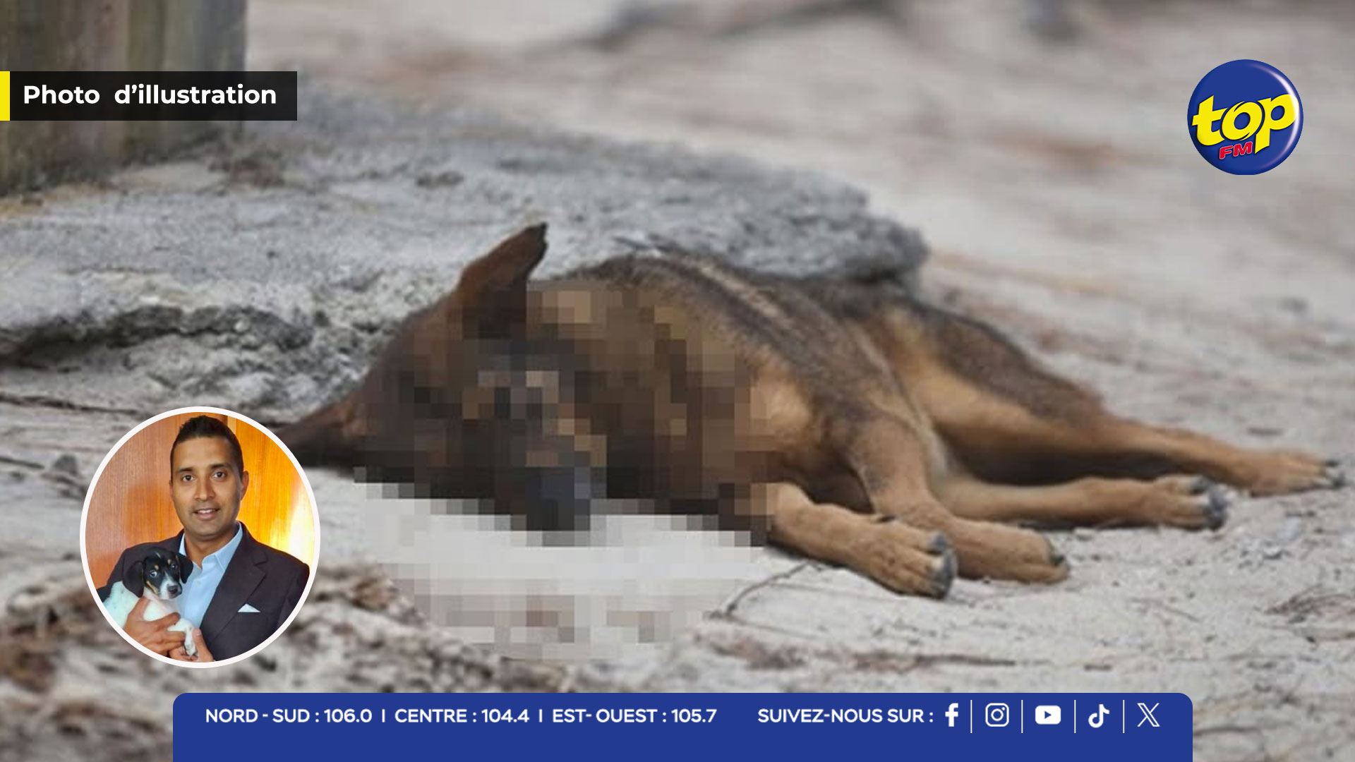 Empoisonnement chiens