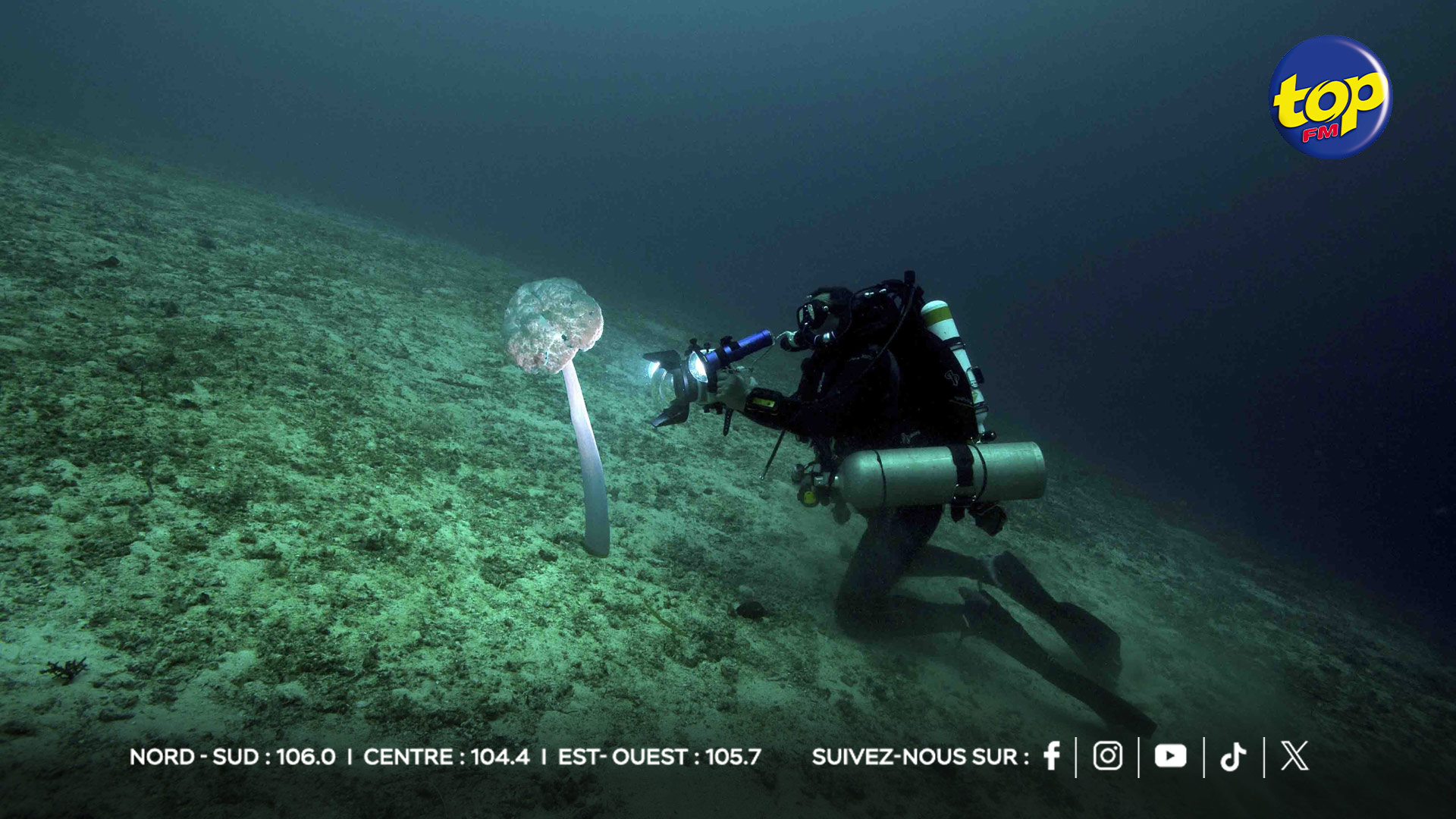 Exploration-des-fonds-marins Exploration-des-fonds-marins