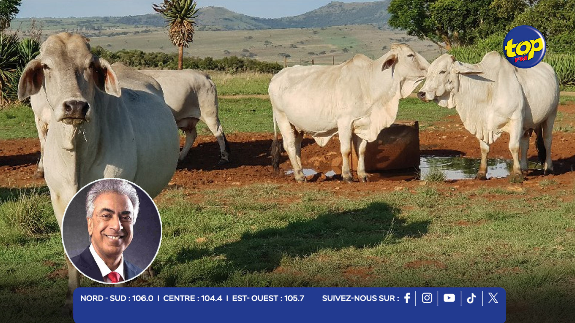 Fièvre aphteuse en Afrique du Sud Fièvre aphteuse en Afrique du Sud