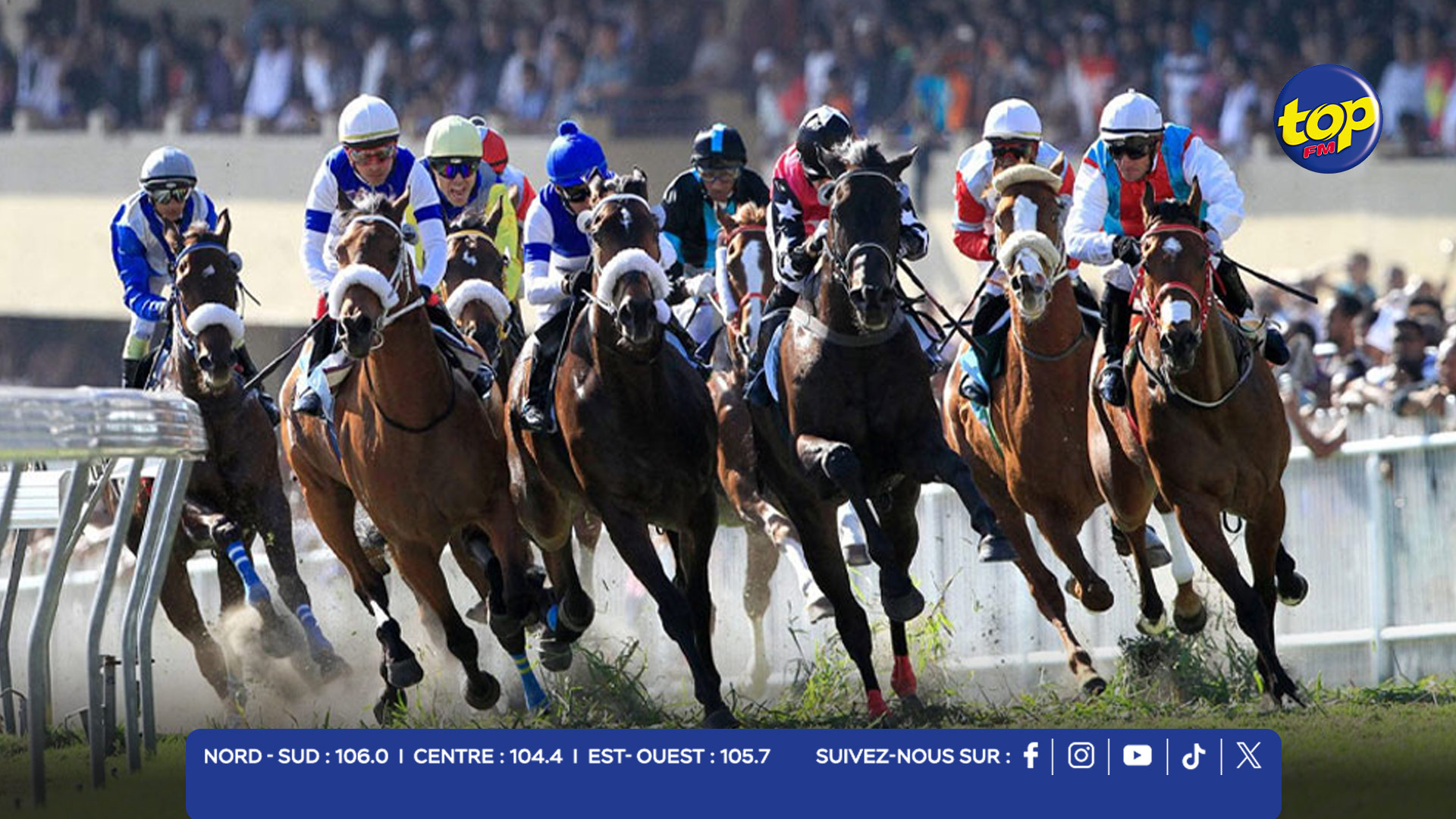 HIPPISME HIPPISME