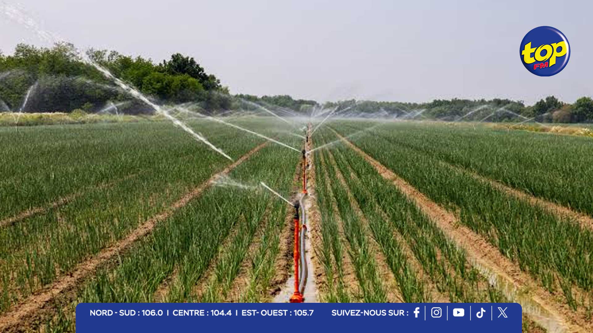 IRRIGATION