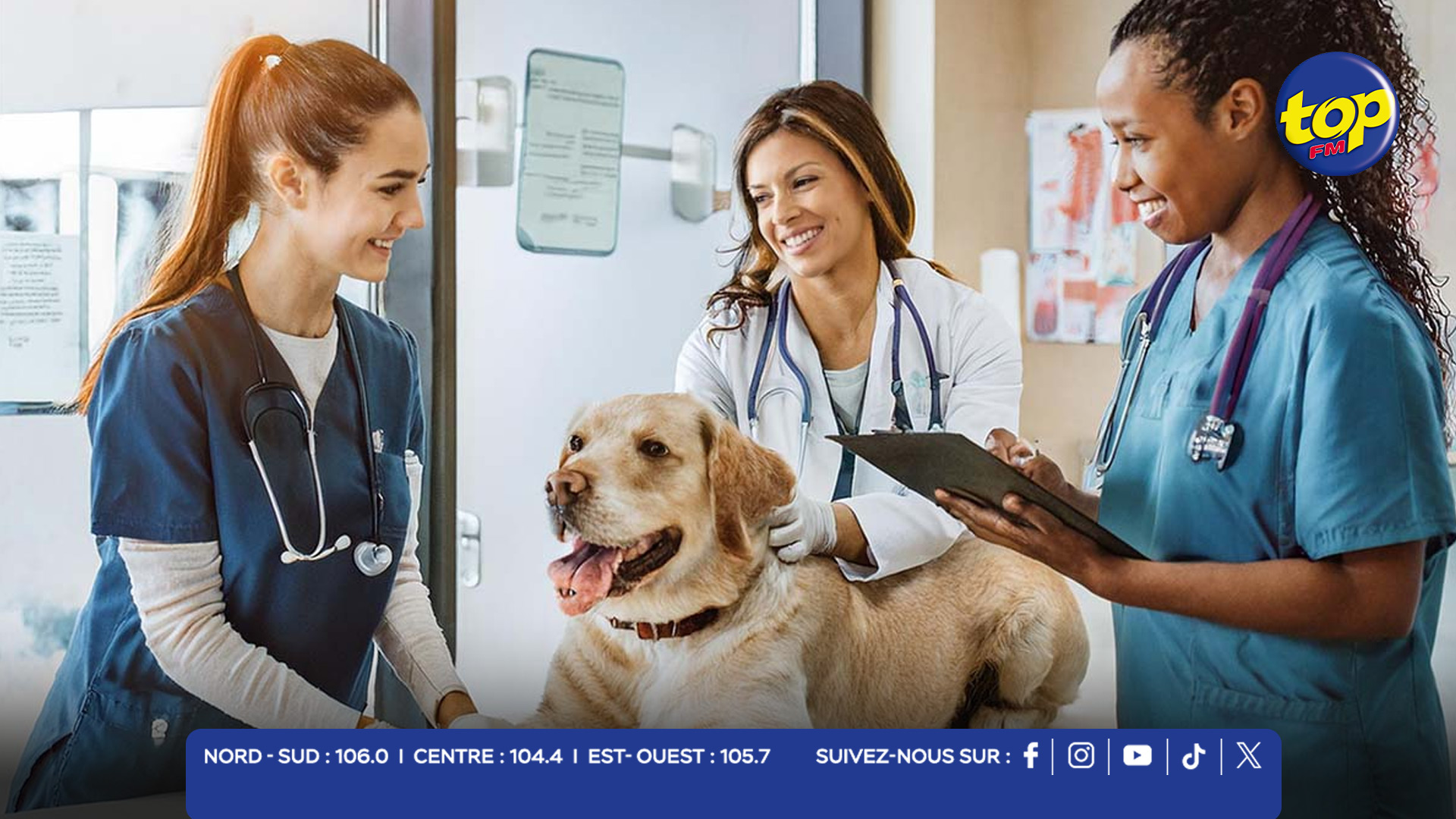 Veterinary Laboratories Veterinary Laboratories