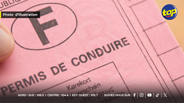 permis à points permis à points