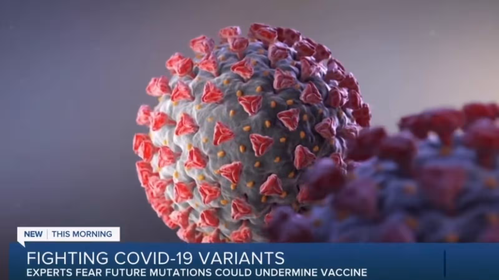 Certaines mutations du Covid-19 peuvent nuire à l’efficacité du vaccin