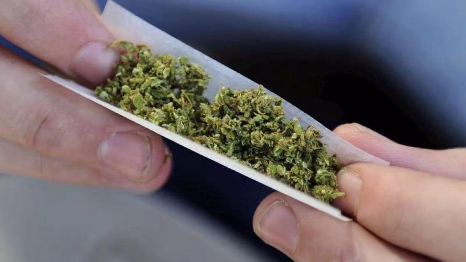 La France a décidé d’organiser une consultation citoyenne sur l’usage du cannabis “récréatif”.