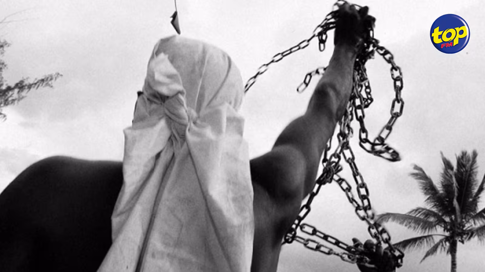 187e anniversaire de l’abolition de l’esclavage : le marronnage ou ce désir irrépressible de liberté