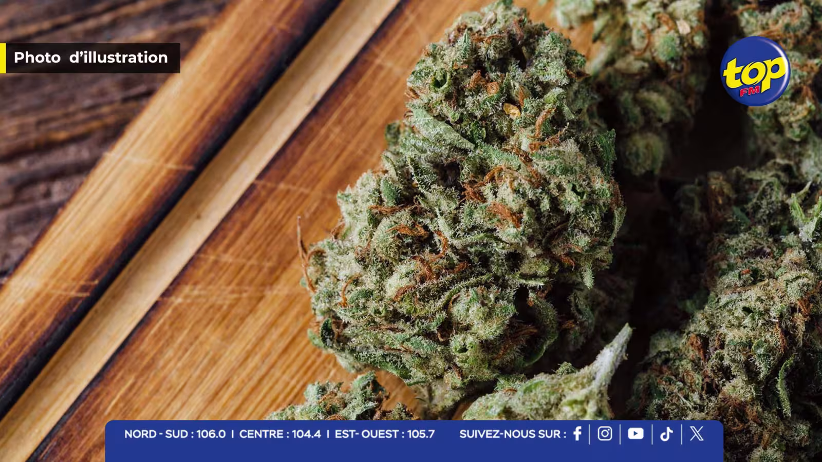 Grand-Gaube : un skipper arrêté après la saisie de plus de 74 grammes de cannabis