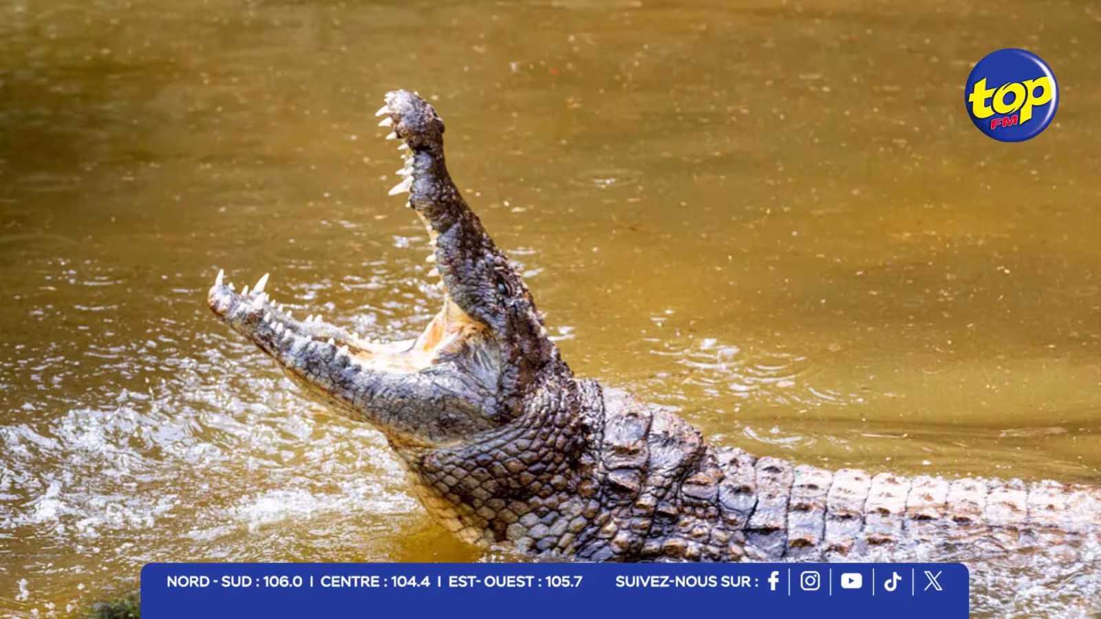 Madagascar : un garçon de 8 ans tué par un crocodile