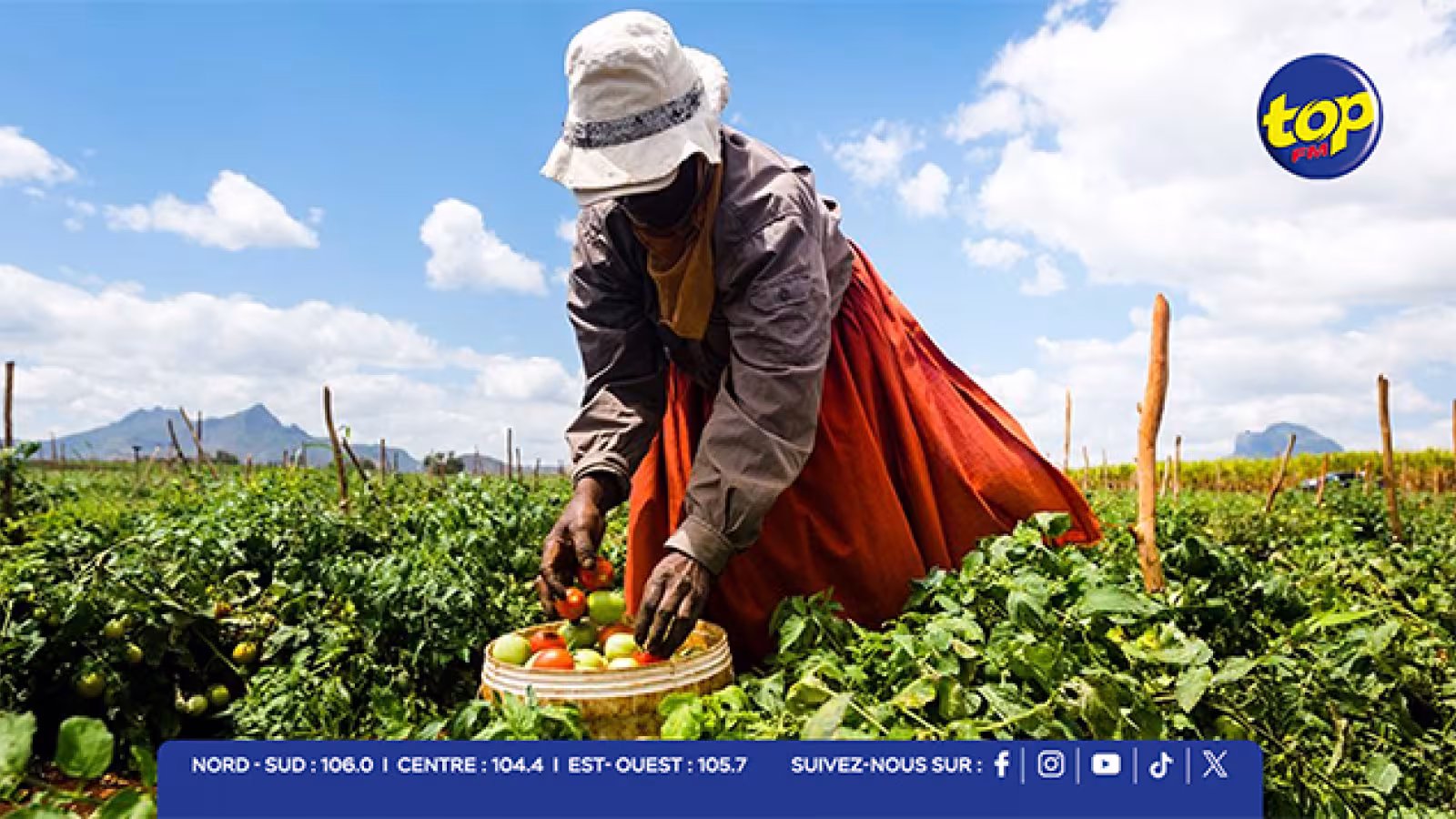 Agriculture – main d’œuvre étrangère : 100 travailleurs indiens attendus dès décembre