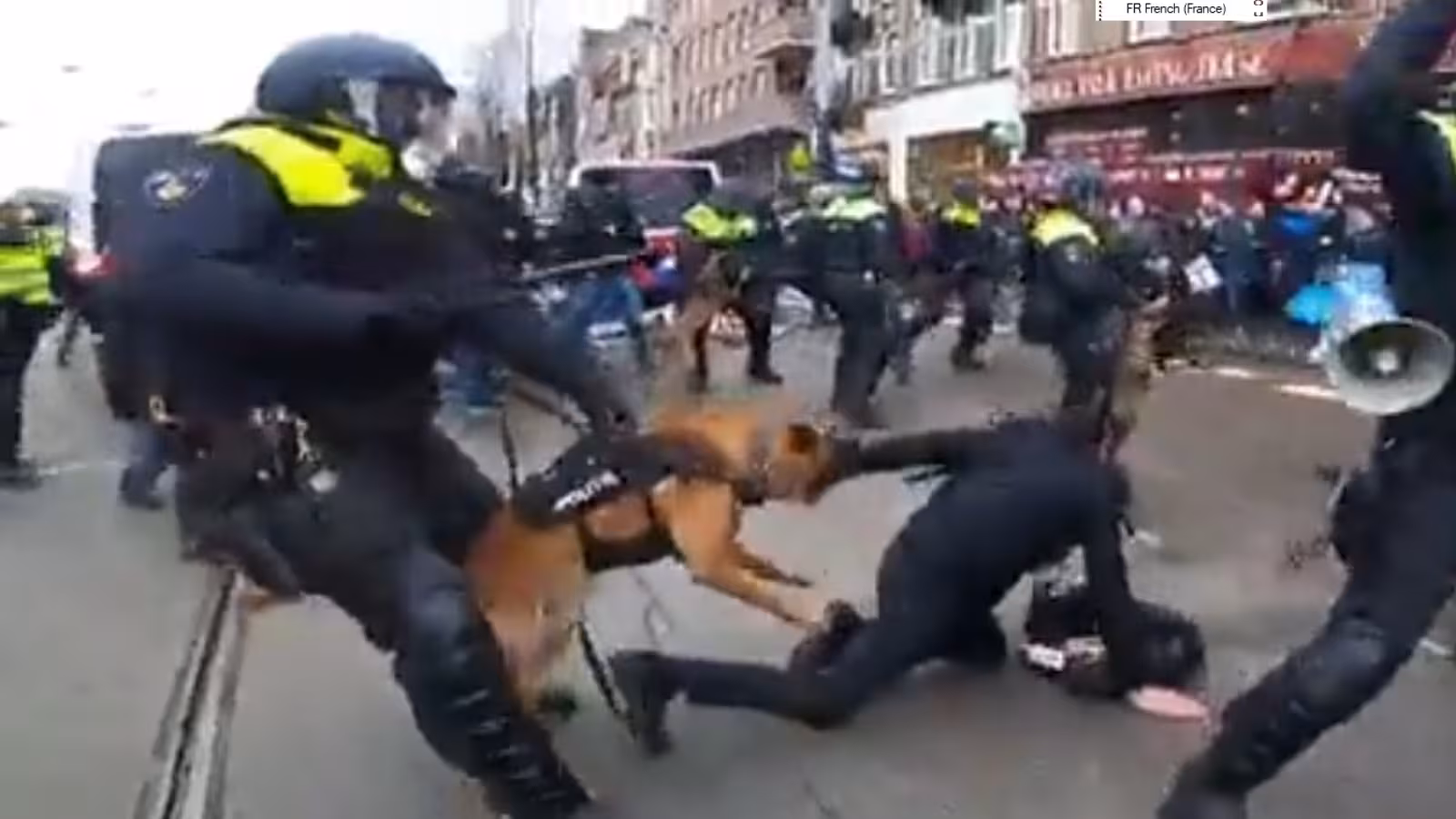 La police lâche des chiens sur les manifestants anti-Covid à Amsterdam