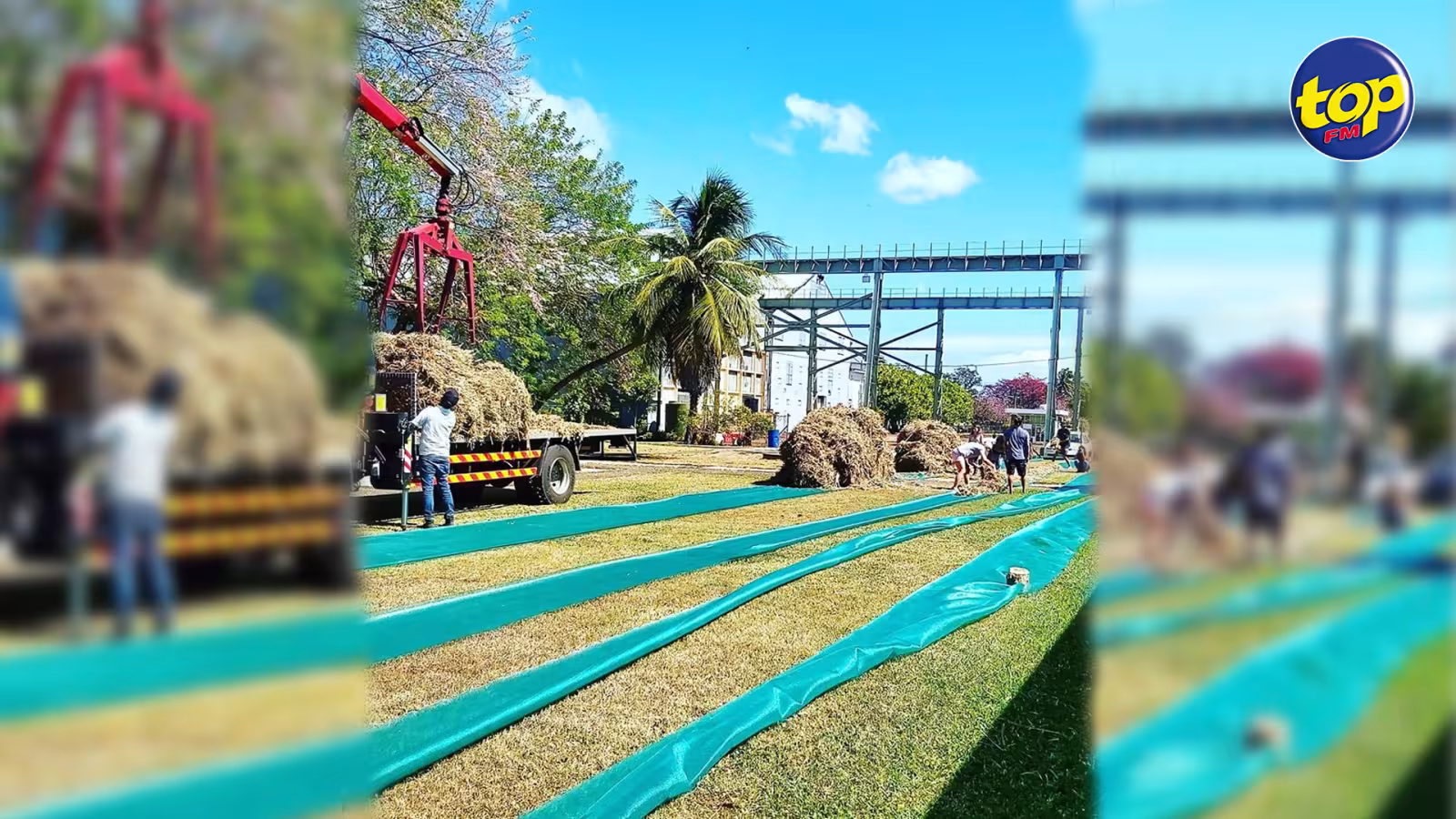 Pour aider à contenir l’huile lourde : L’aventure du Sucre démarre la fabrication de bouées en paille