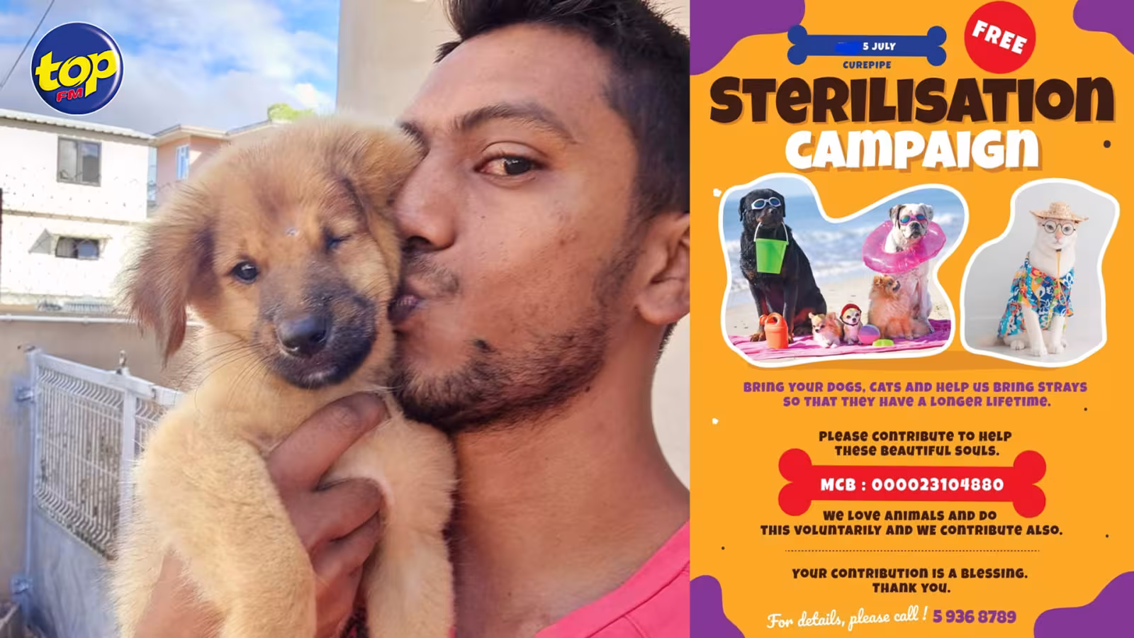 C’est la deuxième campagne : « Environ 65 chiens et chats de rue seront stérilisés gratuitement ce mardi à Curepipe », explique Abheenesh Mottay