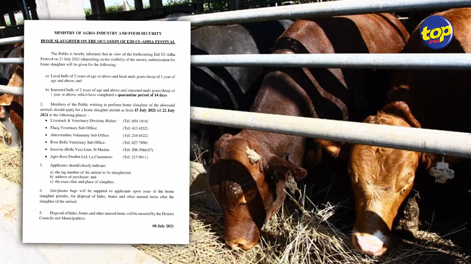 Eid Ul Adha : Un permis spécial pour l’abatage des animaux à domicile