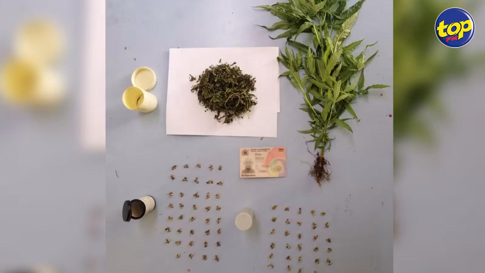 À Triolet : un homme de 40 ans arrêté pour trafic de cannabis