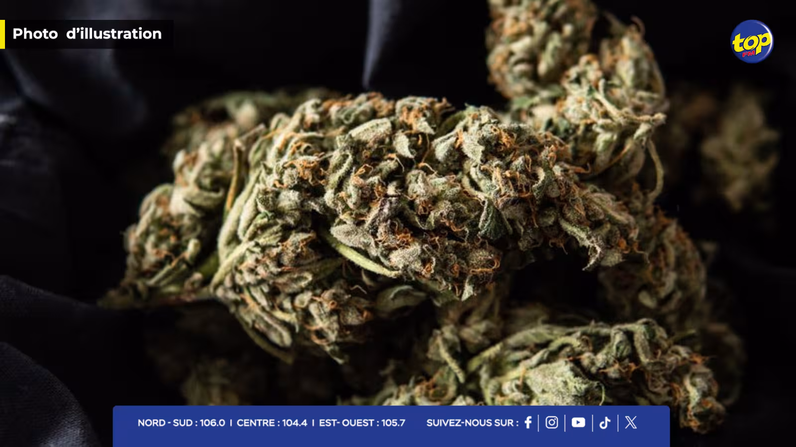 États-Unis : la première boutique de cannabis a ouvert à New York