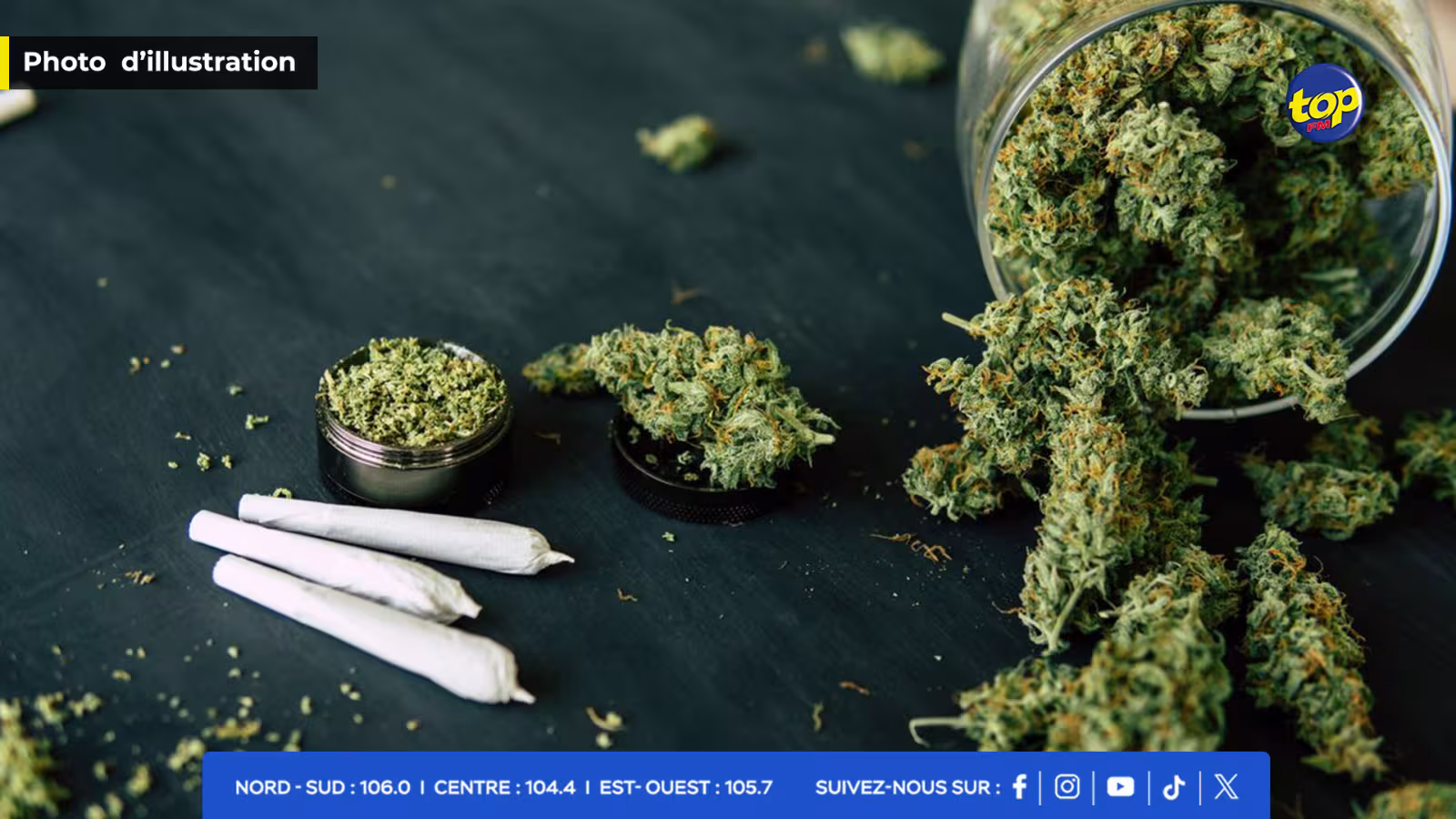 CANNABIS