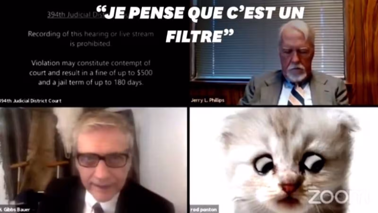 Le chat le plus cher au monde l’Ashera coûte Rs 6 millions