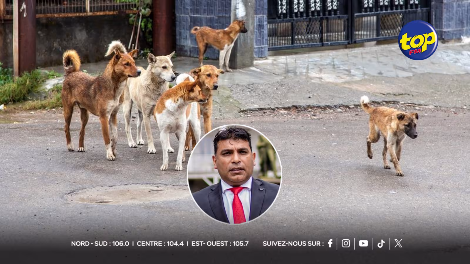 C’est la consternation à Surinam : De la viande de chien vendue aux  habitants , un dénommé V.A arrêté, il comparaitra devant la Cour de Souillac aujourd’hui ; « une enquête est en cours , le ministère de la santé attendra le rapport de la police » ,nous indique l’attaché de presse