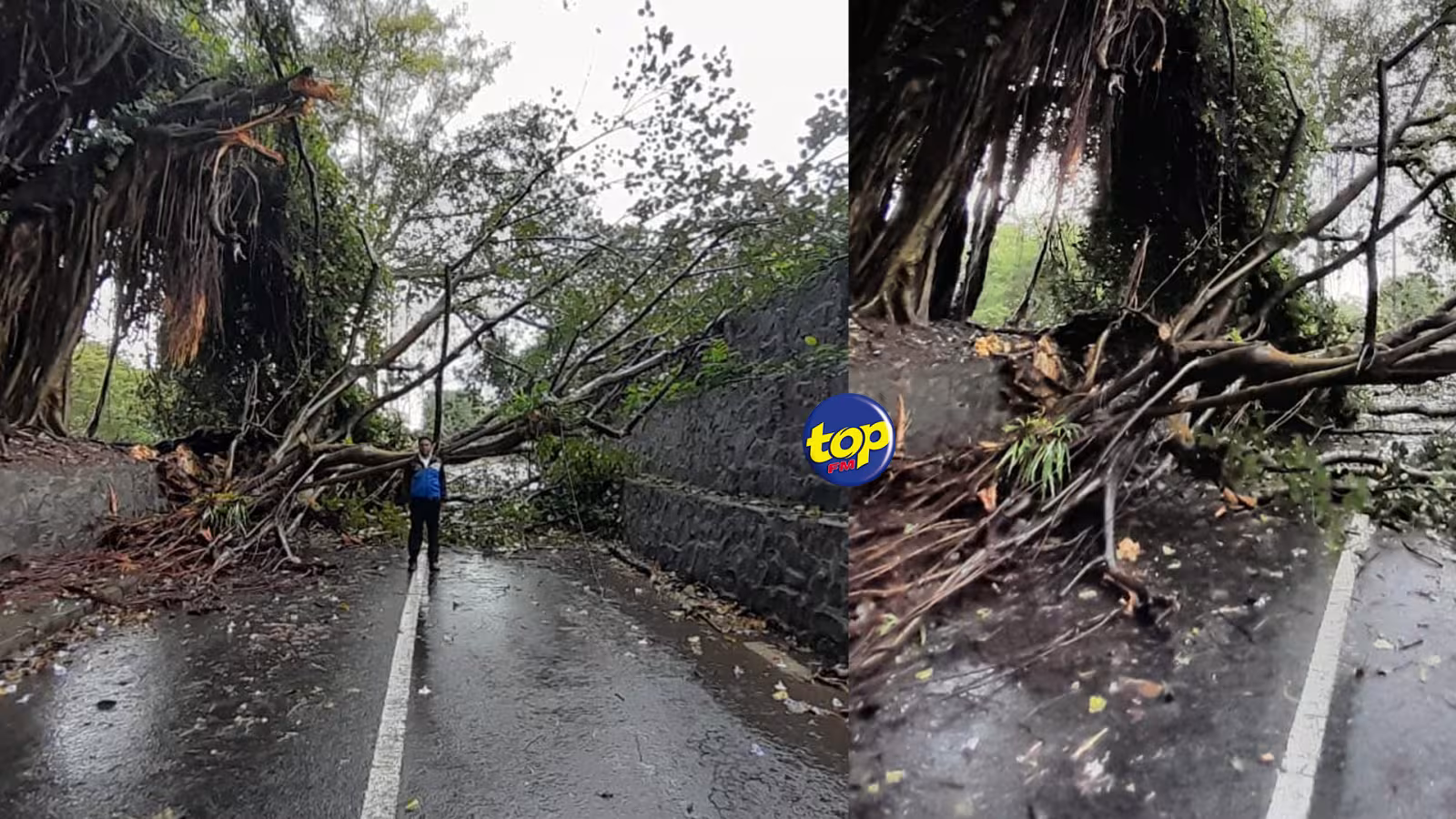 Intempéries : Des accumulations d’eau et des chutes d’arbres enregistrées dans plusieurs endroits, avise la National Emergency Operations Command, dans un communiqué ce matin