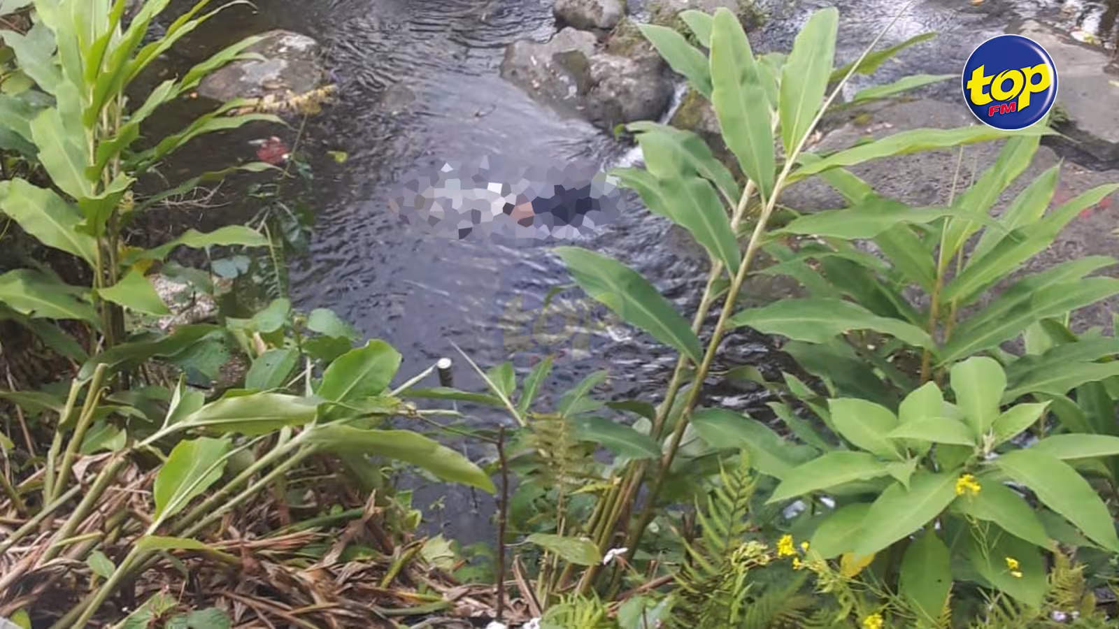 Le corps de Berty Khoylash retrouvé dans un bassin à Floréal : La CID de Curepipe enquête
