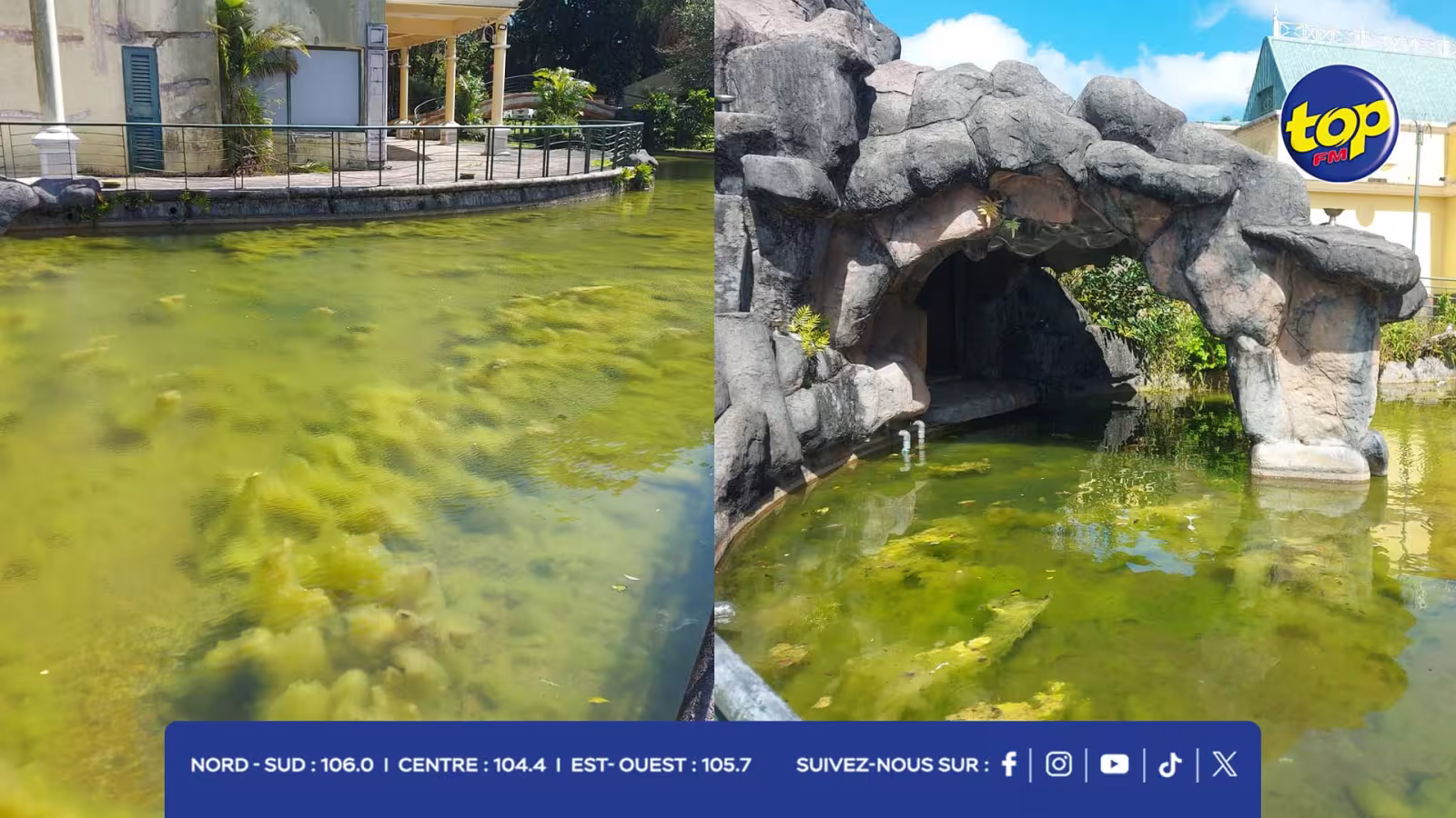 Les goémons du Lakepoint : scène gênante pour les Curepipiens