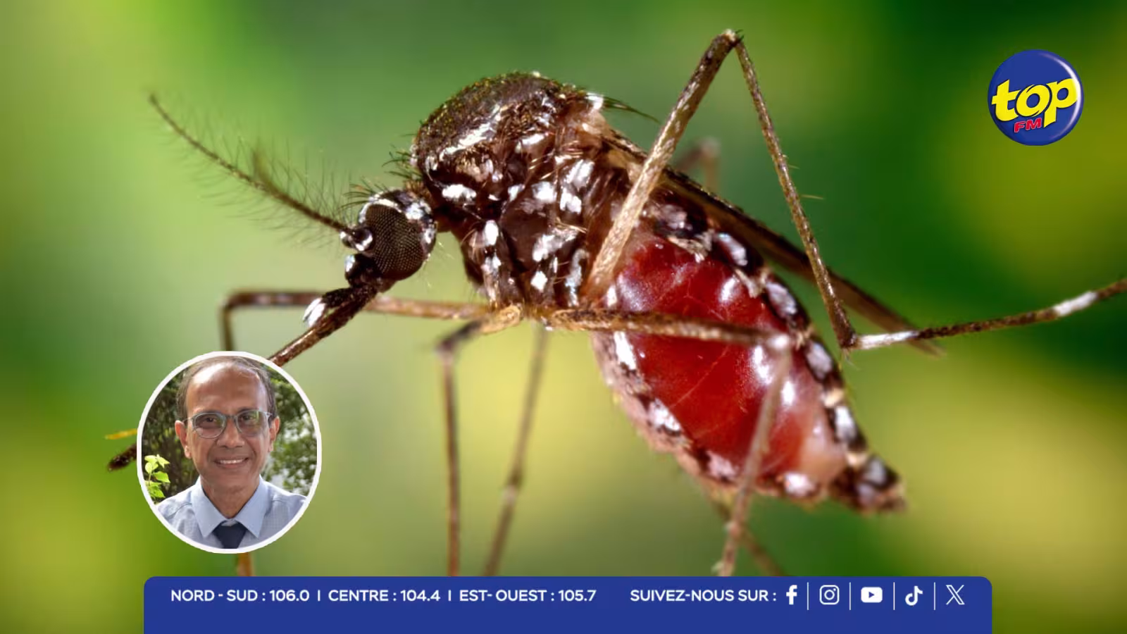Chikungunya