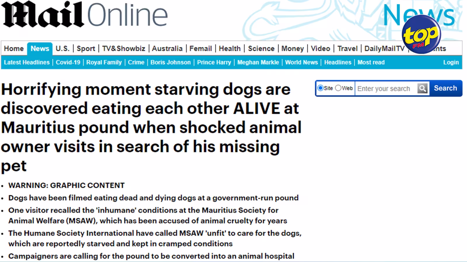 Vidéo à l’appui : Le Daily Mail britannique dénonce des chiens affamés qui s’entre-dévorent à la fourrière de la MSAW