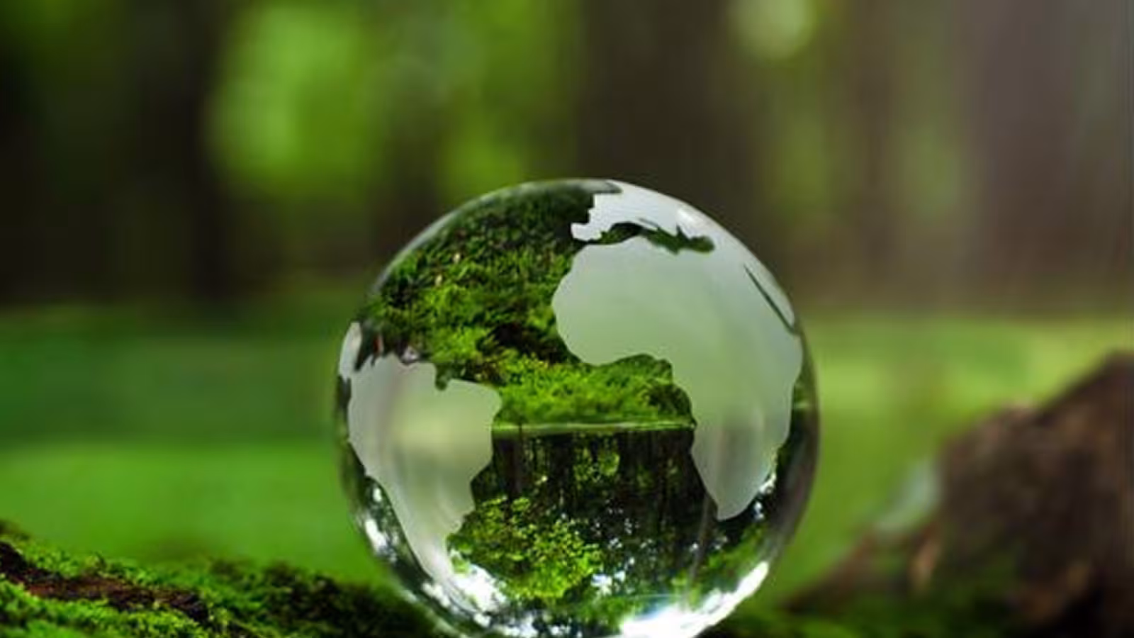 Réformes environnementales : Plusieurs propositions sur la table