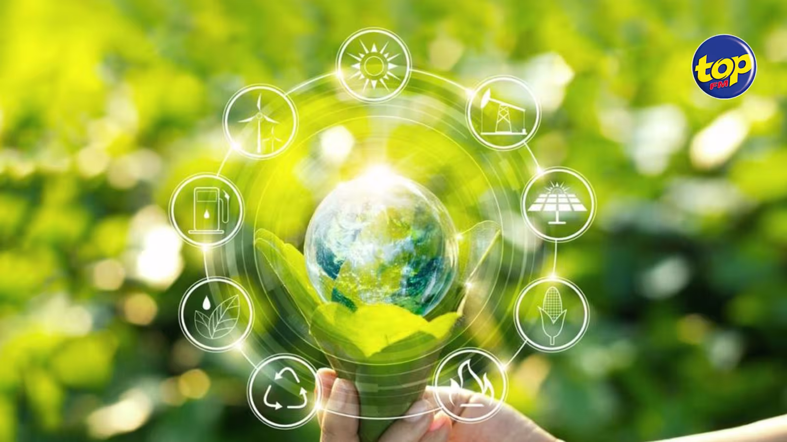 Énergie renouvelable : Maurice lance un appel d’offres pour un projet de centrale solaire de 10 mégawatts