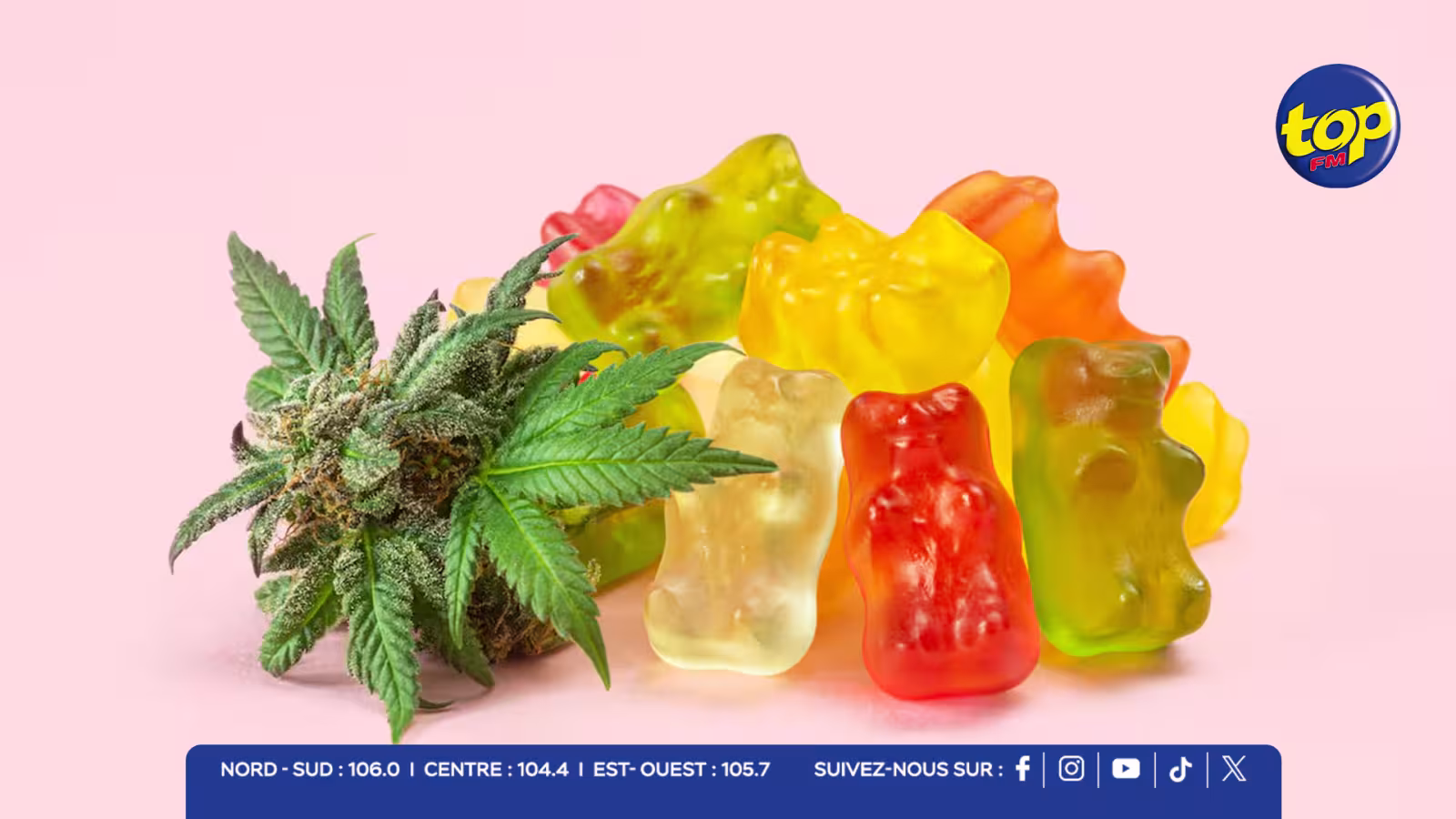 Gummies et cookies au cannabinoïde : la NADC précise, les produits saisis ne sont pas liés au marché local