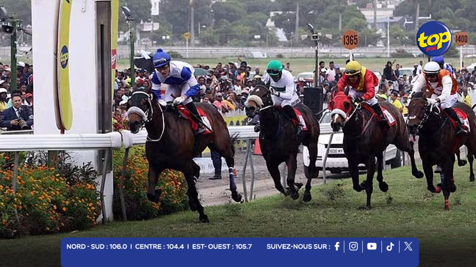 HIPPISME