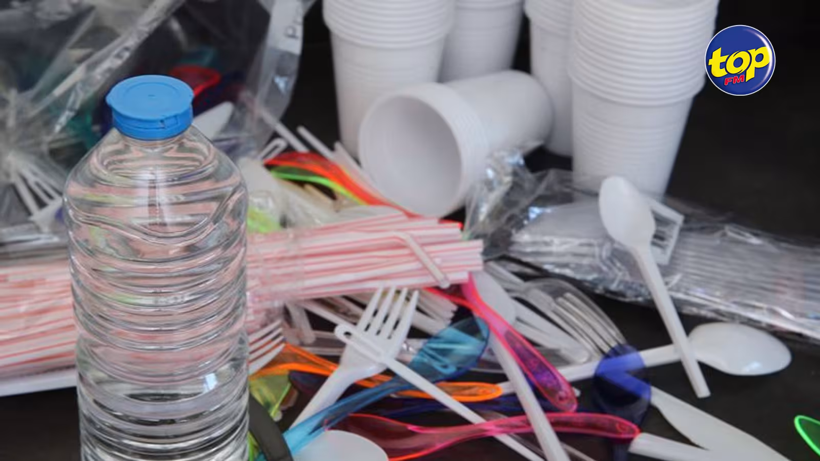 Interdiction du plastique à Usage unique : un moratoire d’un an réclamé par la Plastic Products Manufacturers and Users Association