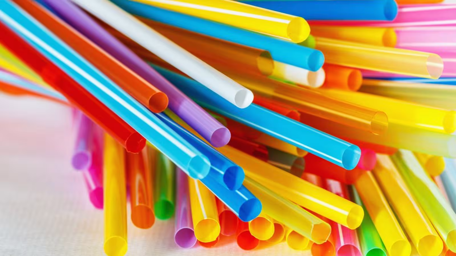 Journée internationale sans paille