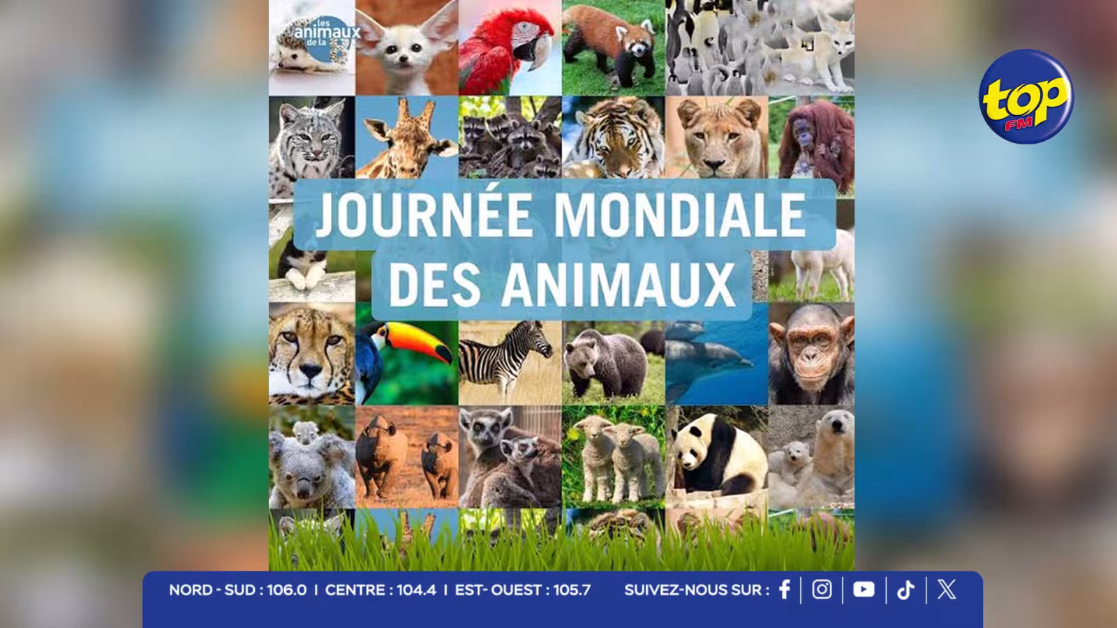 Journée mondiale des animaux