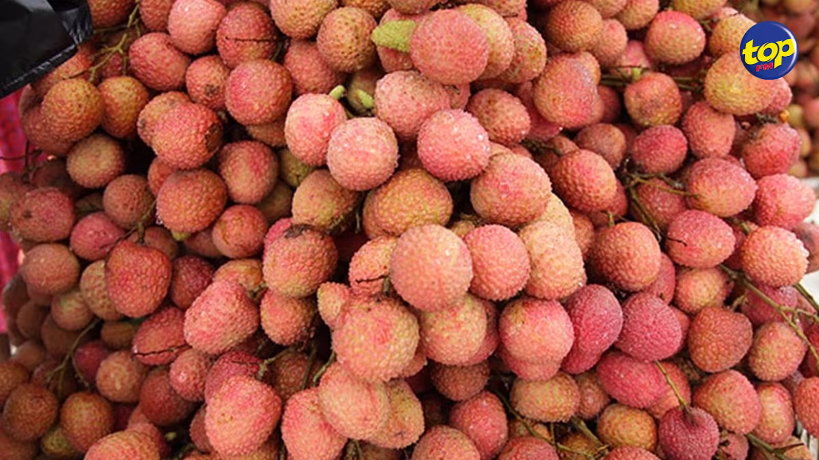 Vol de litchis à Lallmatie : Le butin estimé à Rs 405 000