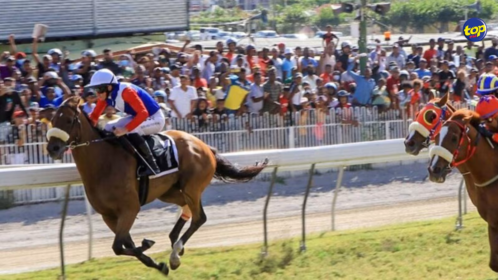 The Medine Maiden Cup : Alshibaa tente une troisième victoire consécutive