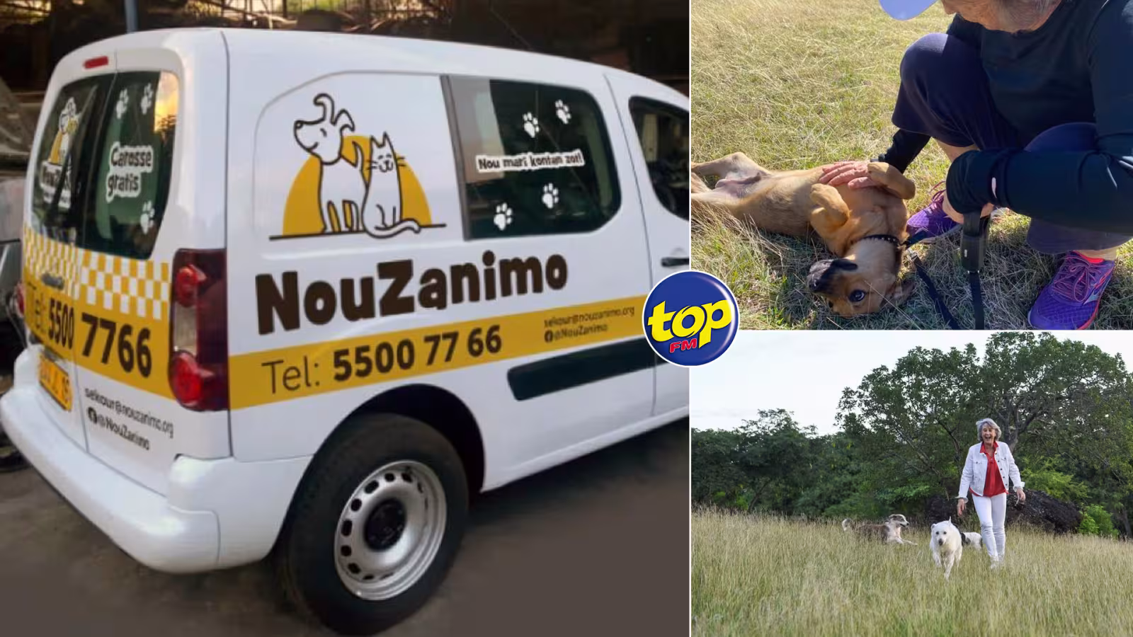 NouZanimo : Carrosse gratuit pour transporter vos animaux chez les vétérinaires