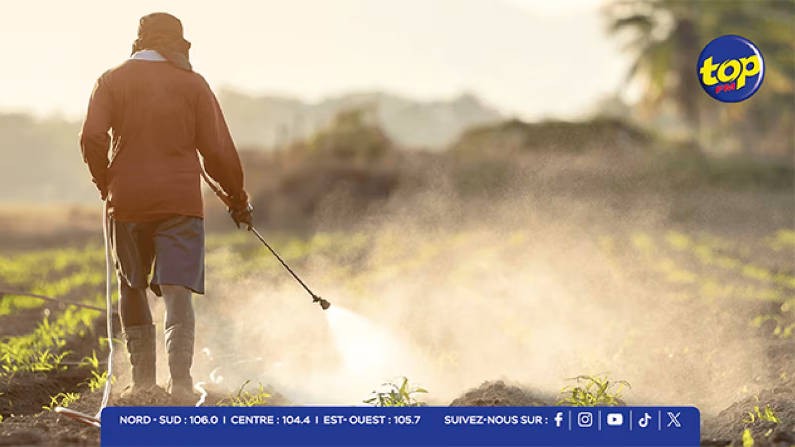 Pesticides et pollution : le gouvernement intensifie les mesures pour protéger la santé et l’environnement