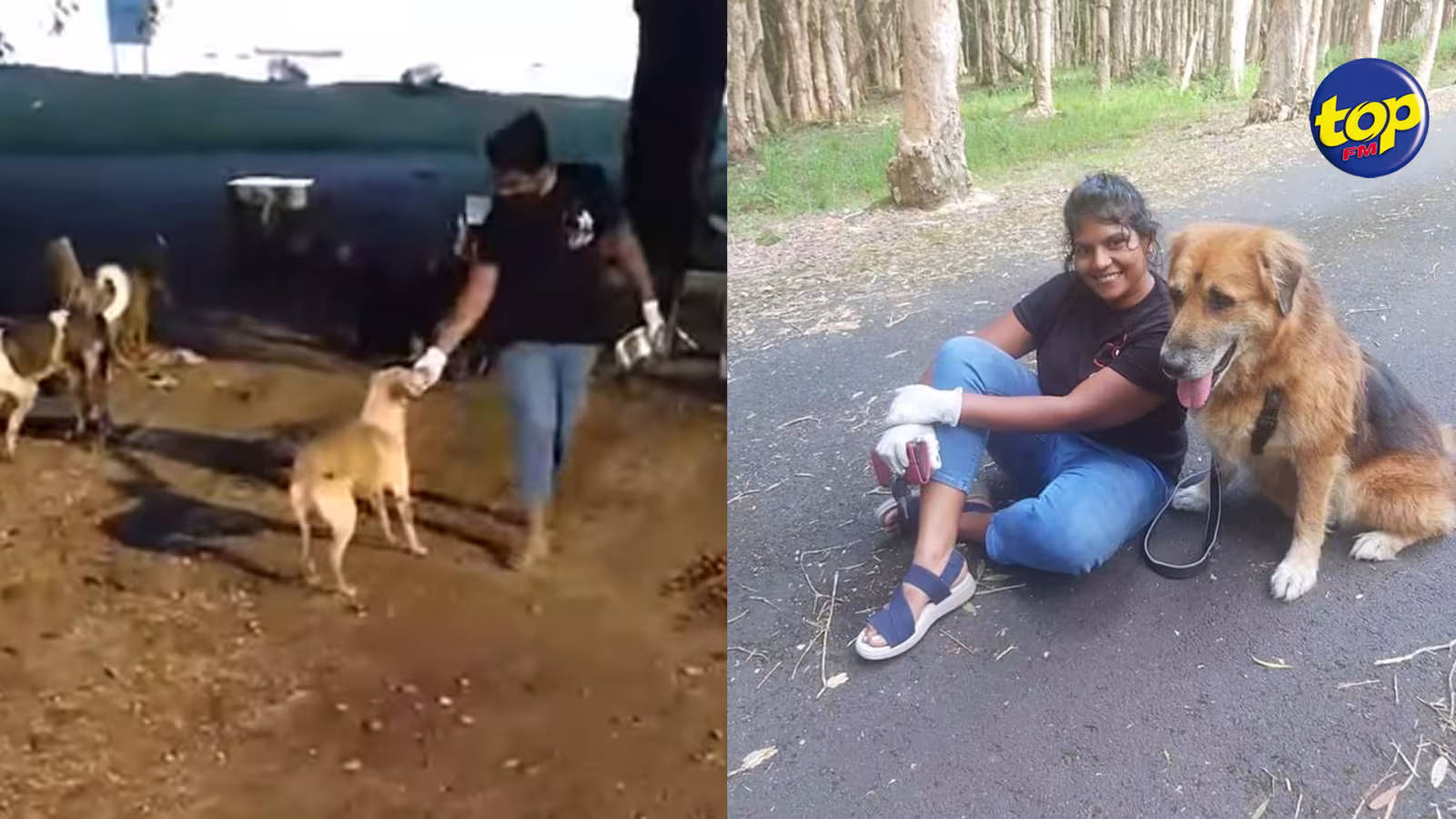 Preetty Saachi lance un appel à la solidarité : « Aidez les animaux dont les propriétaires sont en quarantaine »