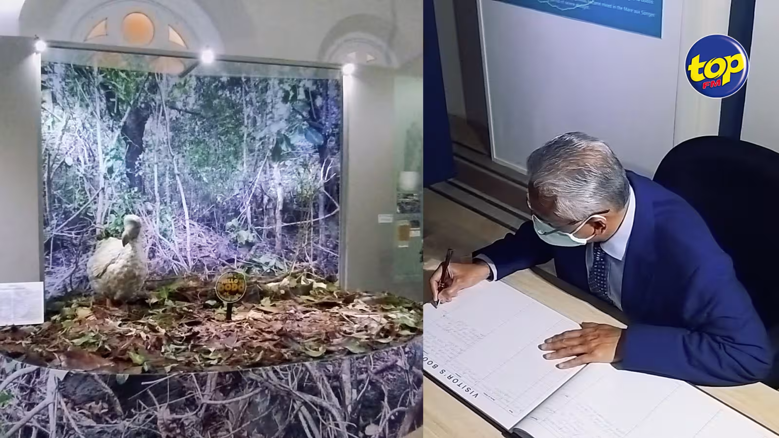Au musée d’histoire naturelle de Port-Louis hier : À la découverte d’une famille de Dodo surnommé Chiryu