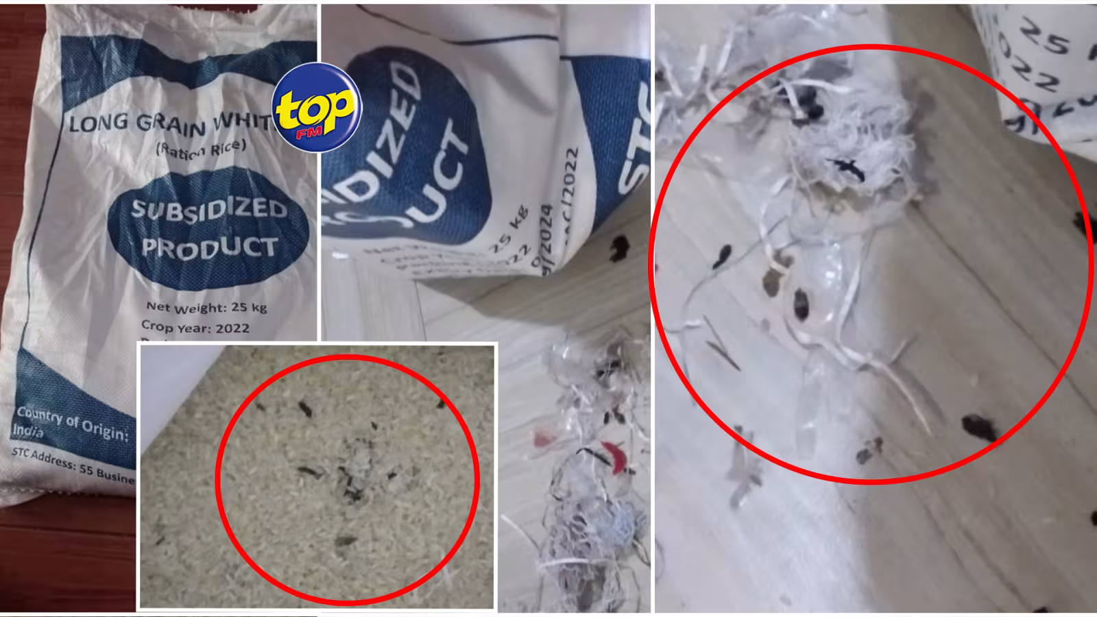 Après avoir acheté du riz ration commercialisé par la STC : un habitant de 16e Mille retrouve des insectes et des débris dans le sachet
