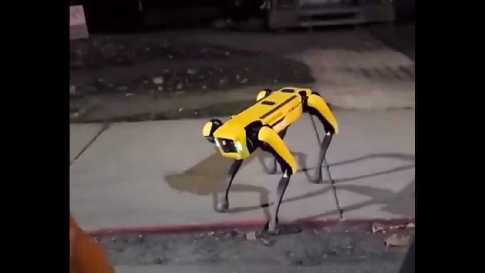Le monde de demain : deux chiens robots en patrouille au Canada