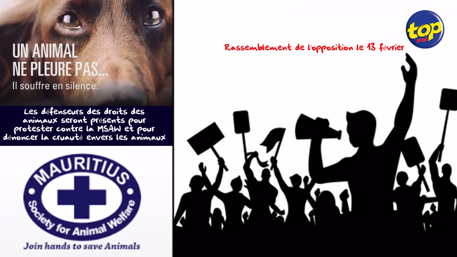 Rassemblement de l’opposition le 13 février : les défenseurs des droits des animaux seront présents pour protester contre la MSAW et pour dénoncer la cruauté envers les animaux
