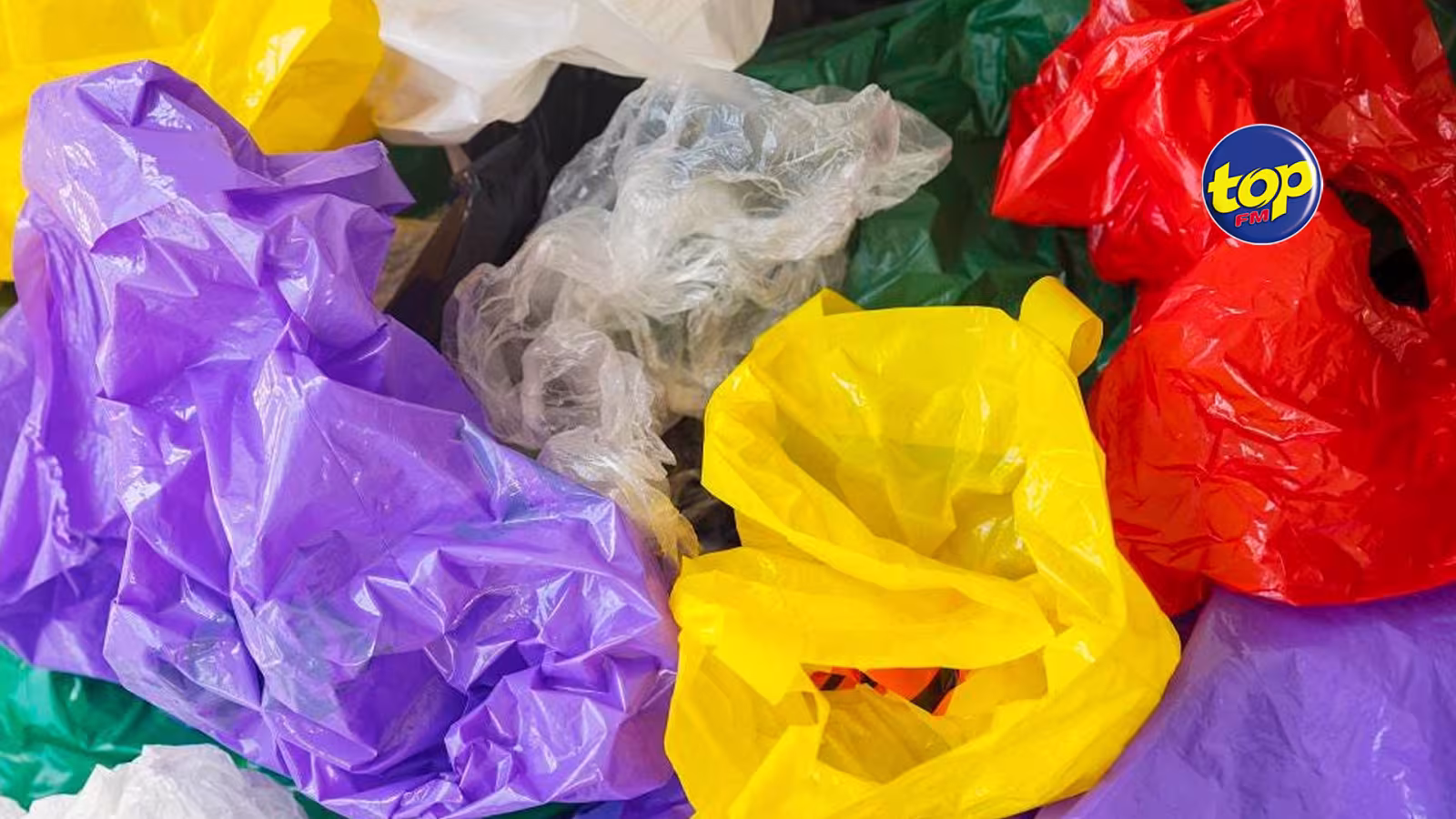 Environnement Protection (Banning of Plastic Bags): De nouveaux modifications seront faites