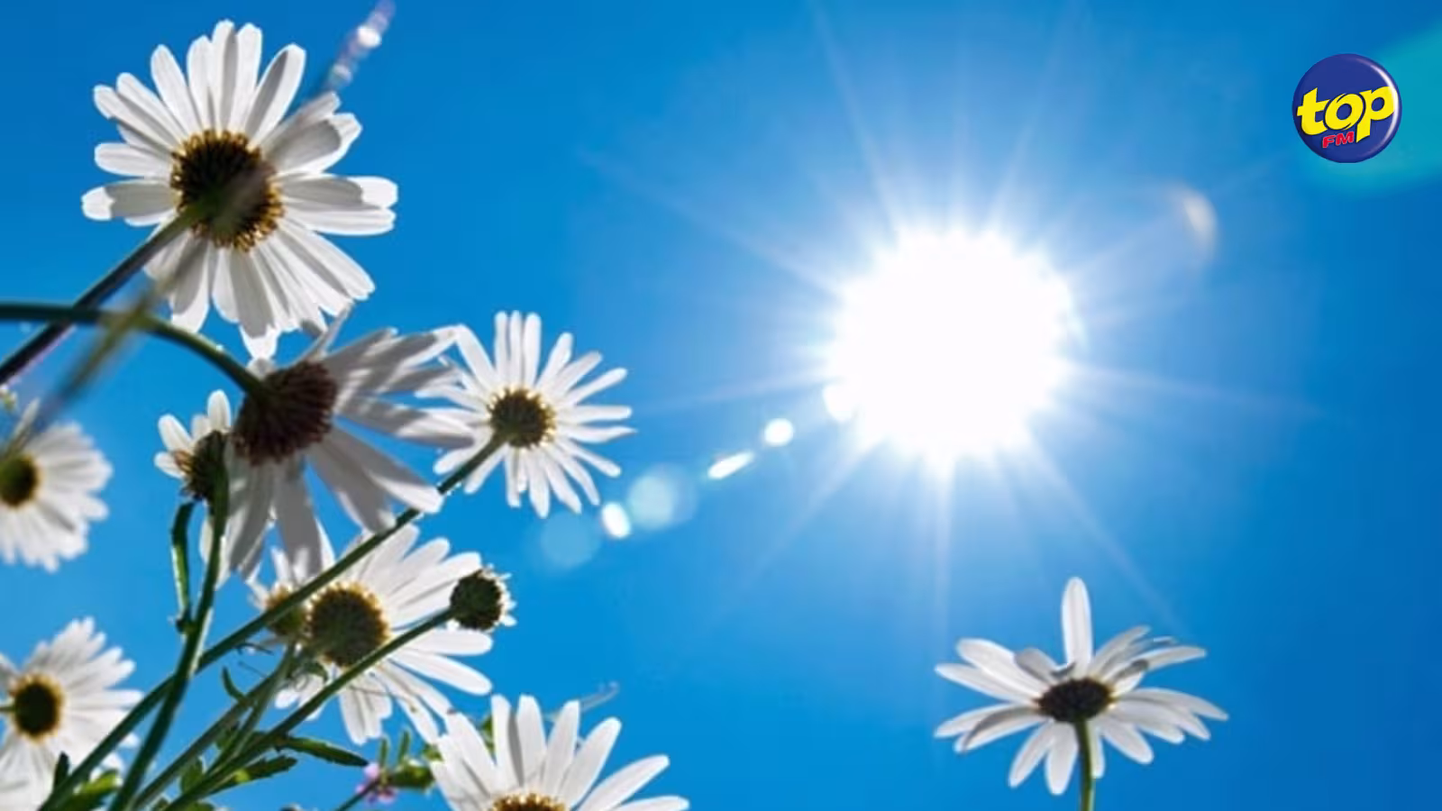 Météo : il fera chaud cette semaine